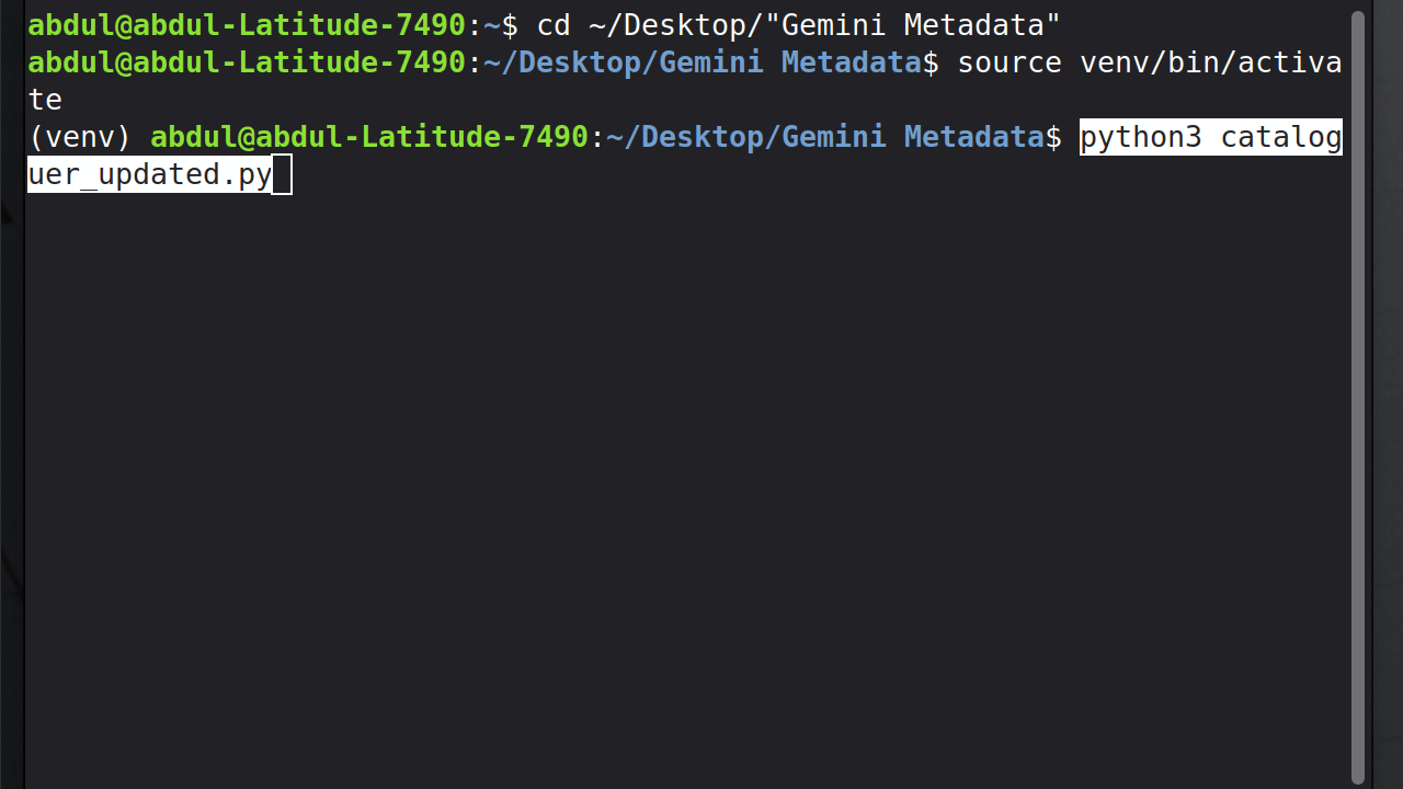Terminal recording demonstrating real-time Python execution and metadata extraction using Gemini Flash